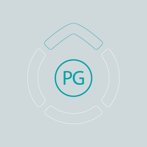 Logo Merge: Punzengruber Grandl & Partner GmbH – Member of Dachstein Group – Private Wealth Advisors